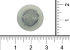Фильтр водяной Julius арт. 1.01141 (3-50-1570X) в Самаре